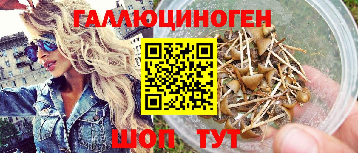 закладка  Вход с VPN  Горно-Алтайск  Псилоцибиновые грибы Cubensis 
